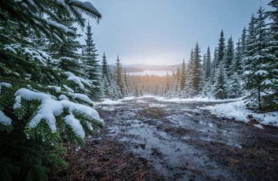 What Is Causing Climate Change: The Science Behind Our Warming Planet